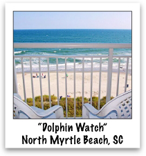 "Dolphin Watch": Baywatch Oceanfront #738 - North Myrtle Beach, SC. Great views of the lazy river, pools and ocean. Indoor pool and hot tubs. Restaurant, bar, Tiki Hut.  2 beds in bedroom, Pull-down Murphy bed and sleeper sofa in LR. Free hi-speed internet.